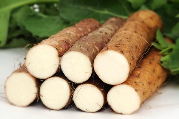 山药有几个品种 山药哪个品种好吃