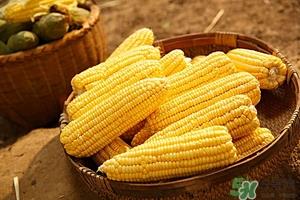 一岁宝宝能吃高粱米吗?宝宝吃高粱米好吗