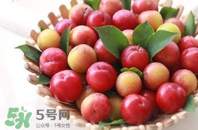 月经期可以吃三华李吗？月经期能吃三华李吗