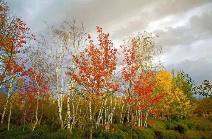 生活好听的轻音乐排行榜30首 最火的十大治愈系钢琴曲 2