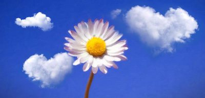 ​理解能力强是聪明吗