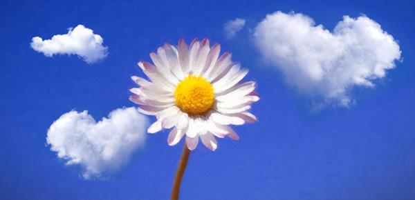 理解能力强是聪明吗