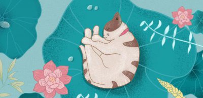 ​infp型人格男生喜欢怎样的女生