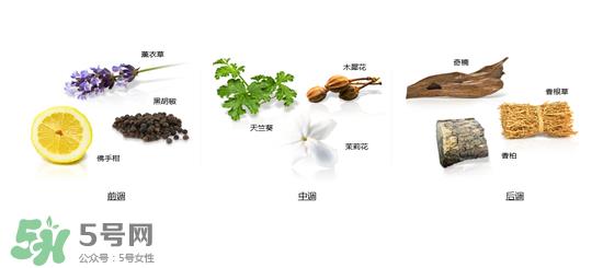 郎朗香水是什么牌子？郎朗香水是什么档次？