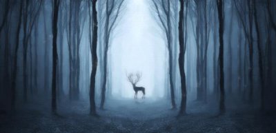 ​孩子粗心是专注力不够吗