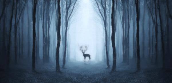 孩子粗心是专注力不够吗