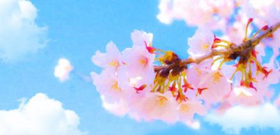 ​小朋友问宝宝是怎么出生的