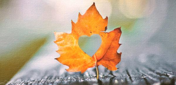 性取向有问题是由什么原因引起的