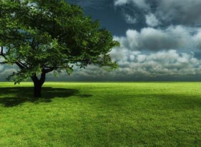 ​好听的微博名称