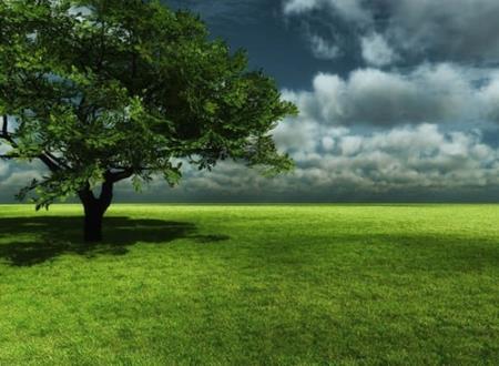 好听的微博名称