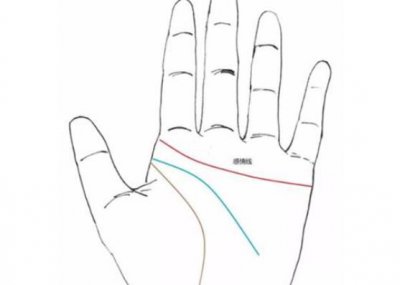 ​感情线分叉20种图解 感情线中间上下分叉图解