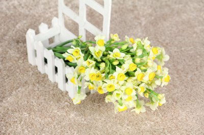 ​水仙花的花期时间，如何延长花期