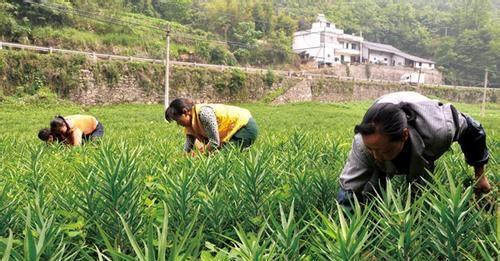 “穷山恶水出刁民”的说法，虽然典故非常扯，但为何会广为传播？