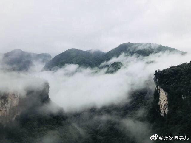 张家界有个世界最高跨度最长的神奇娶妻玻璃桥，你来过么？