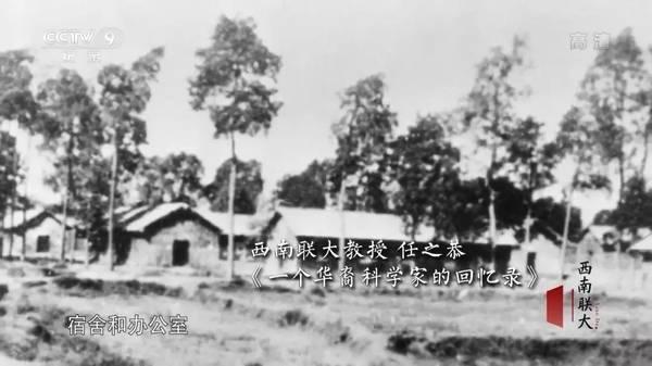 他们住在坟上、吃烂菜叶、被乞丐嫌弃，却成就了中国最伟大的学校