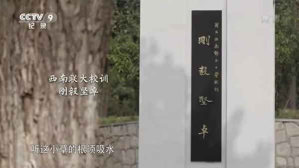 他们住在坟上、吃烂菜叶、被乞丐嫌弃，却成就了中国最伟大的学校