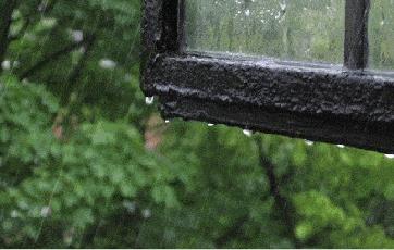 他们住在坟上、吃烂菜叶、被乞丐嫌弃，却成就了中国最伟大的学校