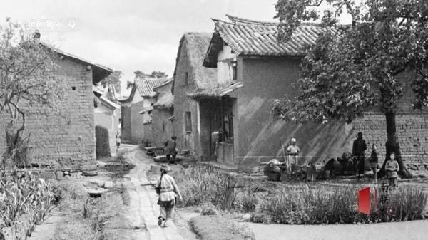 他们住在坟上、吃烂菜叶、被乞丐嫌弃，却成就了中国最伟大的学校