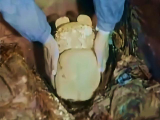 老照片再现定陵发掘全过程：郭沫若亲自指导，代价惨痛