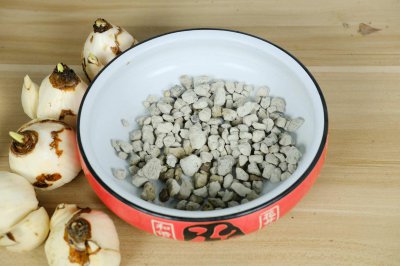 ​水仙花什么时候开花