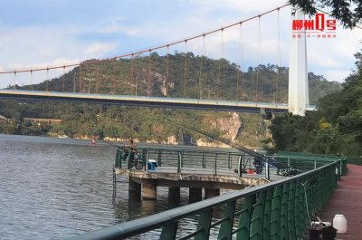 ​广西这个地方钓鱼 有“专属法规”