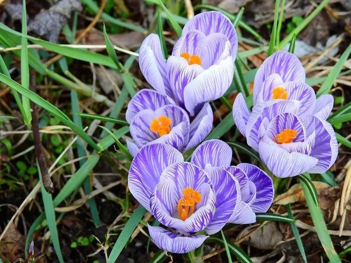 学会控制自己的情绪，谁都不欠你的，不要因为冲动而发脾气，那样会伤害爱你的人。