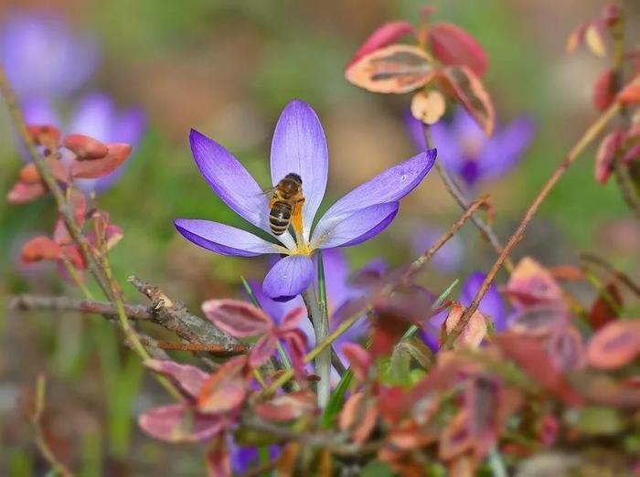 学会控制自己的情绪，谁都不欠你的，不要因为冲动而发脾气，那样会伤害爱你的人。