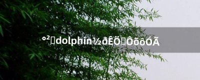 ​安卓dolphin金手指怎么用（安卓dolphin模拟器)