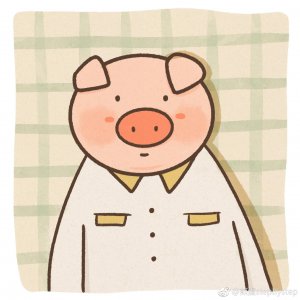 ​来了来了来了...猪年快来了，更新一波猪猪系列头像