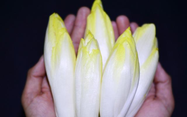 农民种植“见不得光”的蔬菜,远销欧洲,国内吃的人却很少