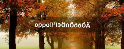 ​oppo远程协助怎么用（oppo远程守护怎么找不到了)