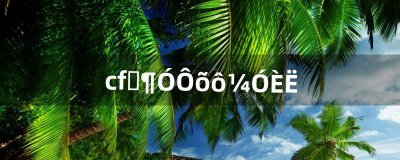 ​cf战队怎么加人（cf战队怎么扩人)