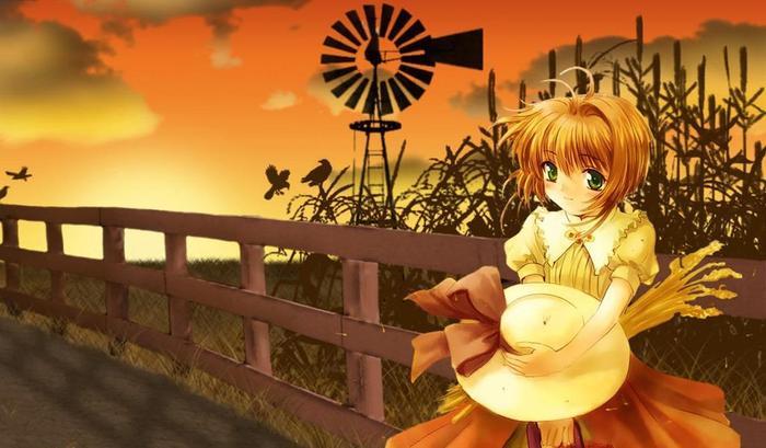 童年经典动漫，百变小樱魔术卡，满满的回忆