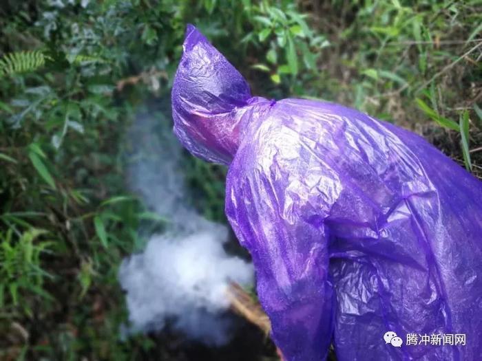 腾冲有个神秘的“扯雀塘”：飞鸟走禽家畜常常猝死于此