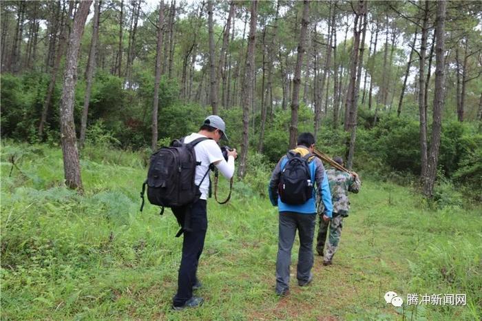 腾冲有个神秘的“扯雀塘”：飞鸟走禽家畜常常猝死于此