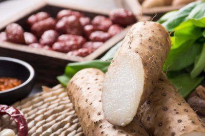 ​山药什么季节种植好