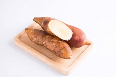 ​雪莲果怎么种植，雪莲果是什么