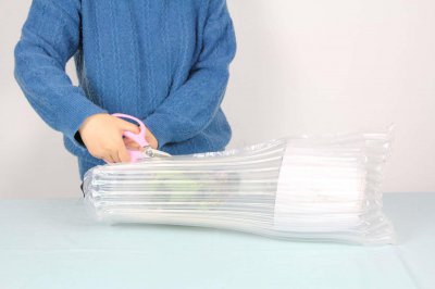 ​瑞香能否放在室内