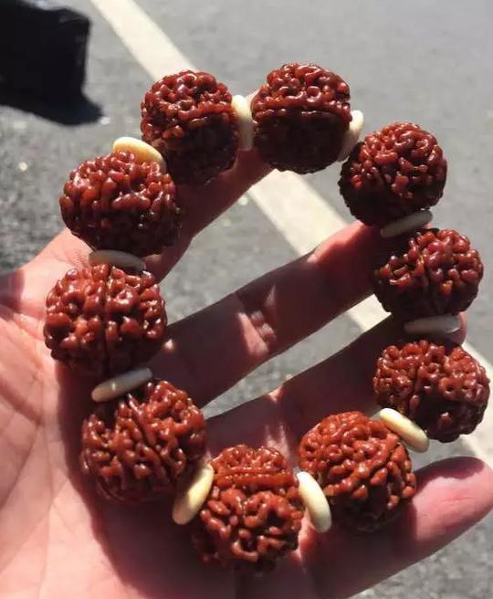 金刚菩提子到底几瓣的好,全齐了!