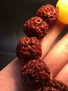 ​金刚菩提子到底几瓣的好，全齐了！