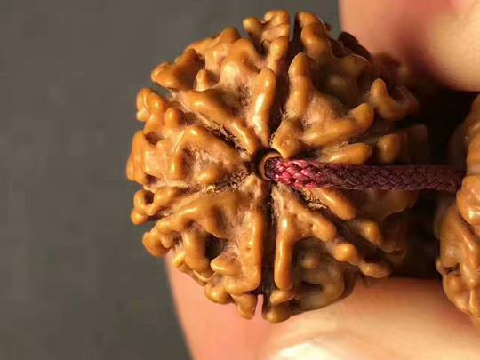 金刚菩提子到底几瓣的好,全齐了!