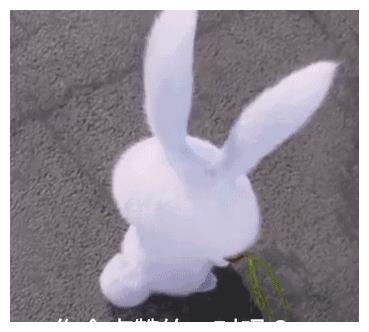 香蜜：旭凤可能自己都不知道，其实他早已习惯了润玉的忍让