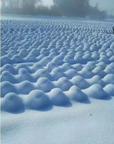 「搞笑图片」网恋的好套路啊