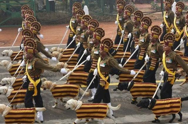 所有国家都被印度阿三蒙骗了，印军的实力第二张图就看出来了