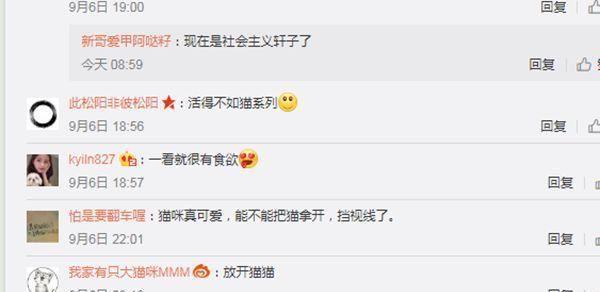 ASMR女主播轩子巨2兔,转型成功被称赞!网友那个定制的凉没