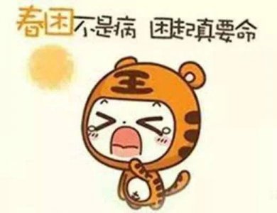 ​费启鸣化身“商业大亨”，节目现场竟做起“生意”？