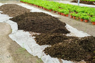 ​泥炭土是什么