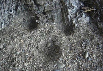 ​村里上年纪的老人都说：路上看到这些坑一定要绕着走