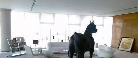 马云和各位大咖的办公室被曝光，网友称，马总还是马总