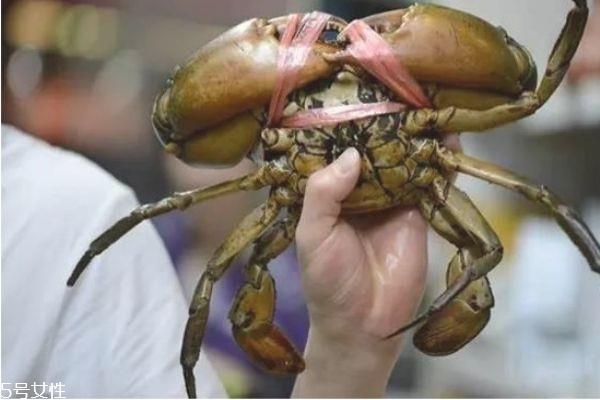 三门青蟹的营养价值 三门青蟹和越南青蟹的区别